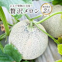 【ふるさと納税】まるで果物の王様!贅沢メロン 2玉セット 熊本県産 フルーツ メロン 贈答 ギフト 果物 熊本産 九州 熊本県 送料無料 【2025年11月下旬...