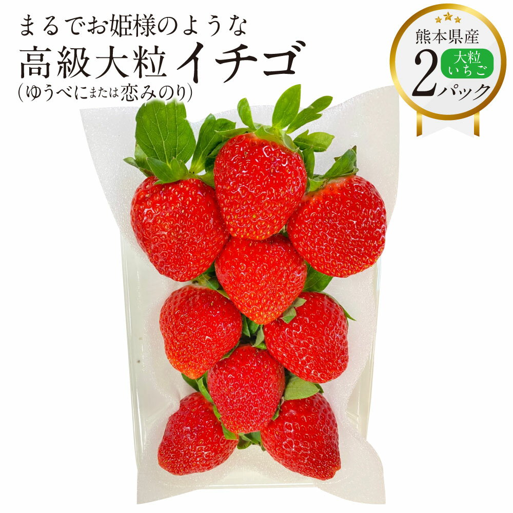 【ふるさと納税】まるでお姫様のような高級 大粒いちご 250g×2パック 約500g ゆうべに または 恋みのり いちご イチゴ 苺 大粒 熊本県産 フルーツ 贈答 ギフト 果物 熊本産 九州 熊本県 送料無料 【2026年1月下旬発送開始】