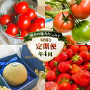【ふるさと納税】【年4回定期便】熊本の魅力たっぷり 定期便 ミニトマト トマト 大玉トマト メロン いちご イチゴ 苺 大粒 熊本県産 フルーツ 野菜 果物 熊本産 九州 熊本県 送料無料 【2026年2月上旬発送開始】 楽天スーパーSALE 9月開催