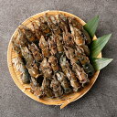 【ふるさと納税】熊本県産 冷凍 マジャク 約600g(約300g×2パック) アナジャコ シャコ 甲殻類 魚介類 水産物 珍味 天然 国産 九州 熊本県 送料無...