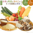 【ふるさと納税】<選べる内容量>【6ヶ月連続定期便】【令和7年度産】熊本県(七城)産のお米と熊本県産の野菜ときのこ お米(2kg/5kg)・野菜&きのこ(7~8品/11~12品) 精米 ジャガイモ シイタケ キノコ 茸 国産 九州 熊本県 送料無料 【2026年1月上旬発送開始】