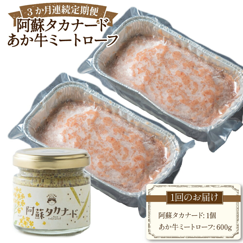 [3か月連続定期便]阿蘇タカナード(70g)+あか牛ミートローフ(計600g(300g×2)) セット 1回あたり計670g 計2010g(600g×3回) 1ヶ月毎 3回 マスタード 阿蘇高菜の種 米酢 牛肉 お肉 惣菜 調味料 冷凍 熊本県産 国産 九州 熊本県 送料無料