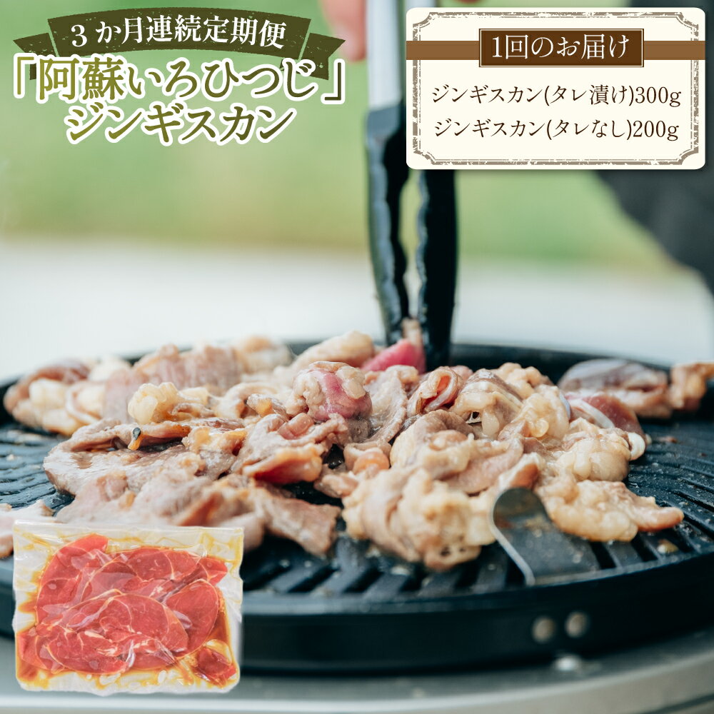 [3か月連続定期便]熊本県産 「阿蘇いろひつじ」 ジンギスカン 1回あたり計500g(タレ漬け:300g・タレなし:200g) 計1.5kg(500g×3回) 1ヶ月毎 3回 国産羊 羊肉 お肉 惣菜 醤油ベース しょうゆ 冷凍 熊本県産 国産 九州 熊本県 送料無料