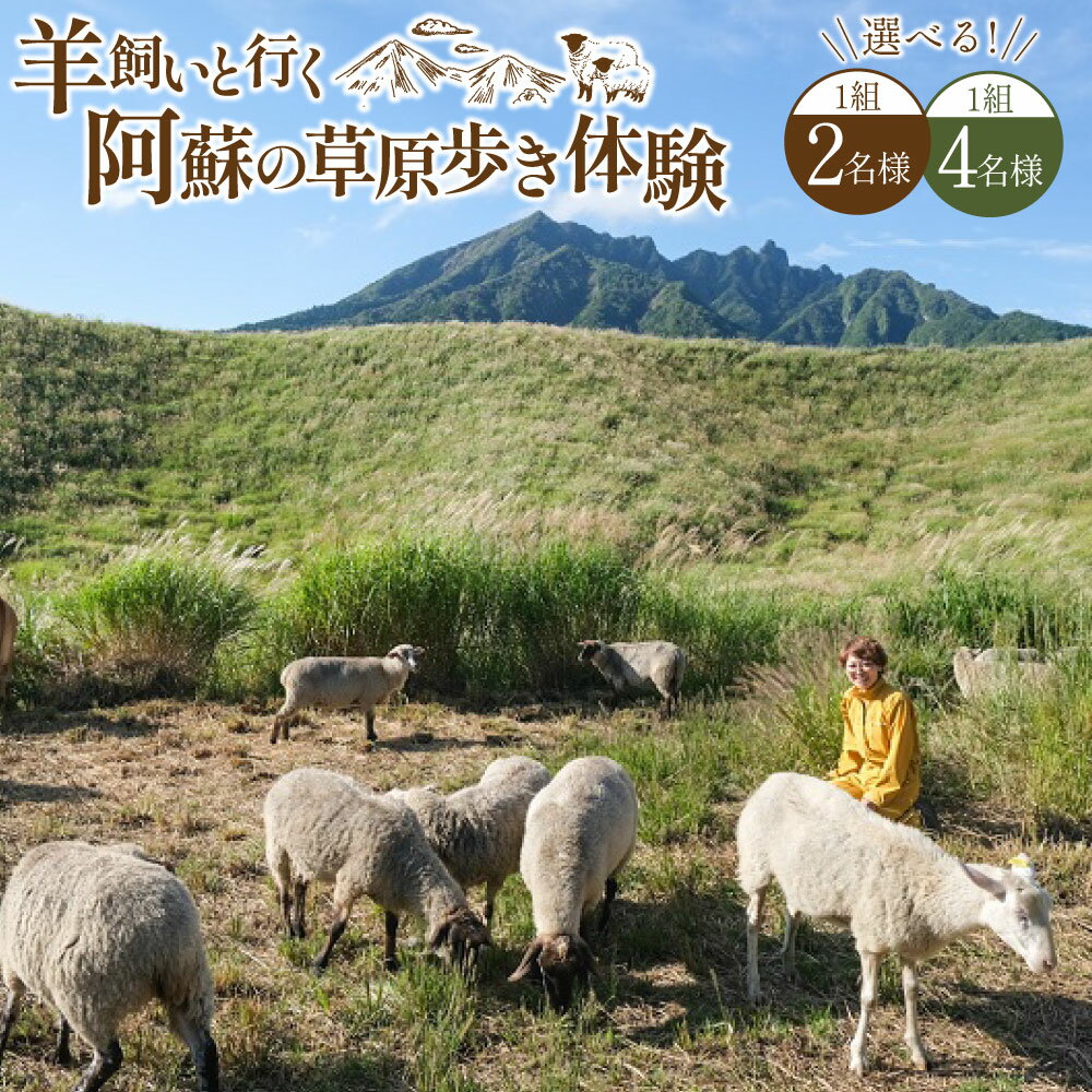 [選べる体験人数][体験期間6月1日〜9月30日]羊飼いと行く阿蘇の草原歩き体験「私も羊もパートナー」 2名様1組 / 4名様1組 阿蘇さとう農園 ひつじ ヒツジ 草原歩き 羊肉 お肉 体験券 チケット 施設利用券 ギフト券 ペア グループ 九州 熊本県 送料無料