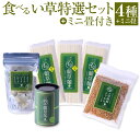 【ふるさと納税】熊本県 食べるい草特選セット+ミニ畳付き 4種 おまけ付き 詰め合わせ いぐさ イグサ 藺草 そうめん フリカケ ふりかけ 飴 茶 お茶 たたみ...