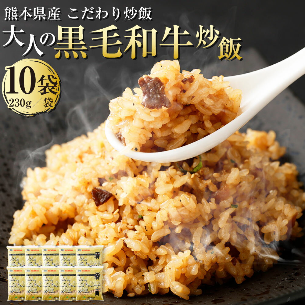 【ふるさと納税】熊本県産 こだわり炒飯 大人の黒毛和牛炒飯 合計2.3kg 230g 10袋 10食分 黒毛和牛 炒飯 冷凍炒飯 チャーハン 惣菜 国産 温めるだけ 簡単調理 冷凍 九州 熊本県 送料無料