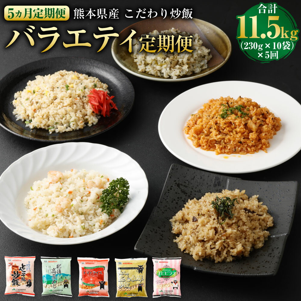 [5ヵ月定期便]熊本県産 こだわり炒飯 バラエティ定期便 合計11.5kg (230g×10袋)×5回 合計50食分 定期便 5回 炒飯 冷凍炒飯 チャーハン 惣菜 国産 温めるだけ 簡単調理 冷凍 九州 熊本県 送料無料