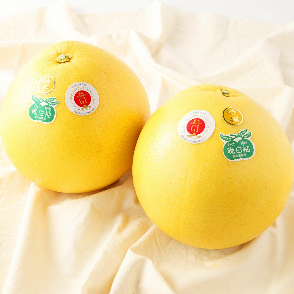 【ふるさと納税】熊本県 晩白柚 2玉 L～2Lサイズ 1玉約