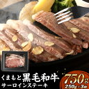 【ふるさと納税】 くまもと黒毛和牛 サーロインステーキ 250g×3 合計750g ギフトBOX入り ステーキ ステーキ肉 すてーき サーロイン 肉 にく 牛肉...