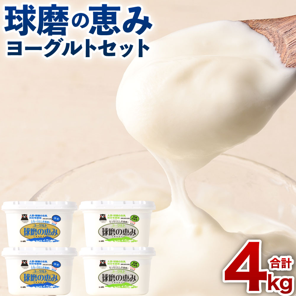 球磨の恵みヨーグルトセット 加糖・砂糖不使用 1000g×各2個セット 合計4個 4000g 球磨の恵み くまのめぐみ ヨーグルト セット 生乳 スイーツ 乳製品 熊本県産 国産 冷蔵 送料無料