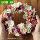 【ふるさと納税】【12ヶ月定期便】ドライフラワー リース Mサイズ 縦17cm×横17cm×幅5cm 合計12個 色味おまかせ お花 花 インテリア 雑貨 手作...