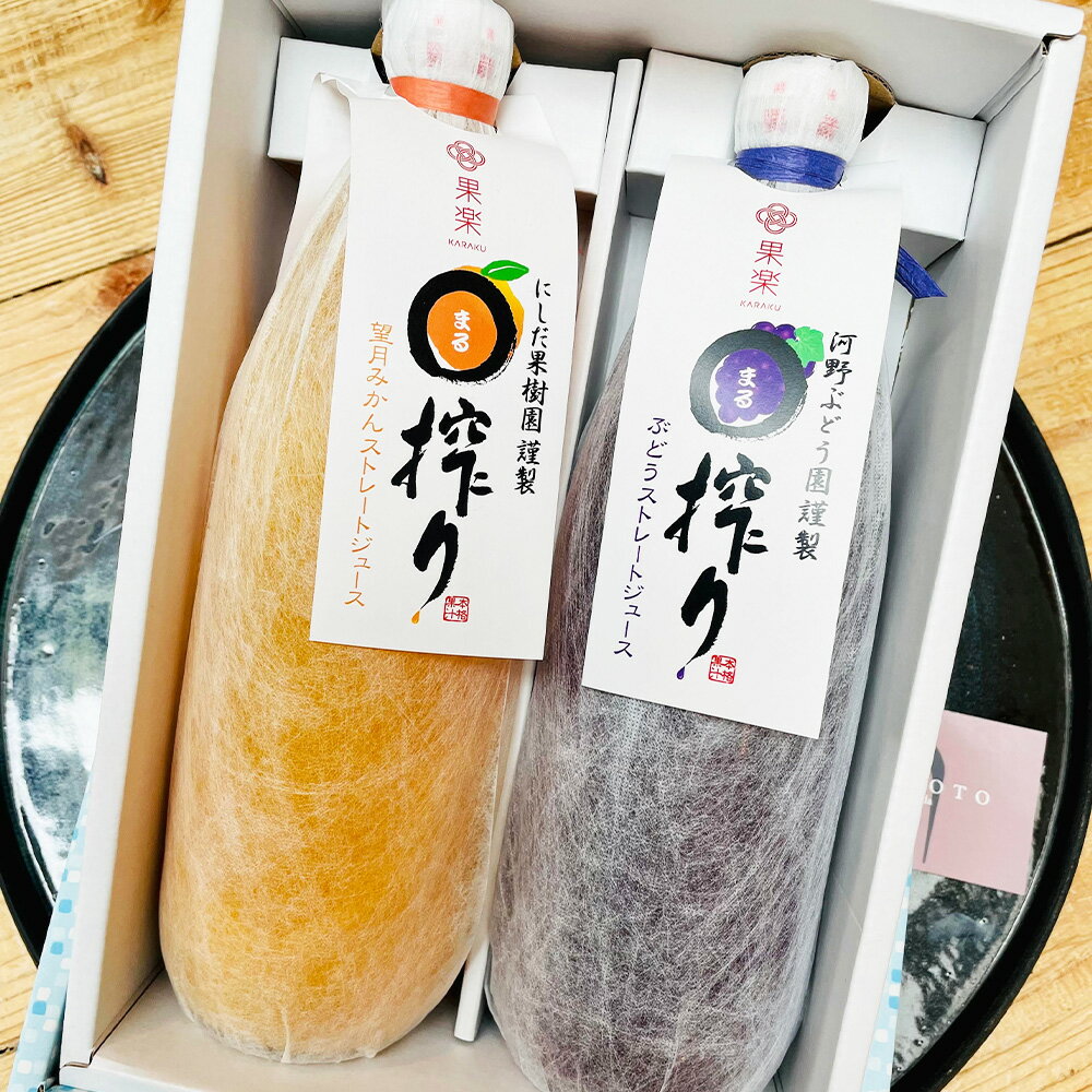 くまもとの果樹園 ジュース セット 2本 望月みかんストレートジュース ぶどうストレートジュース 各1000ml 合計2000ml 2L フルーツ 飲料 果汁 まる絞り 果物 蜜柑 葡萄 九州 熊本県 送料無料