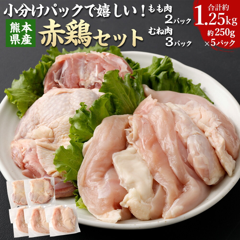 小分けパックで嬉しい！ 熊本県産 赤鶏（もも肉2パック・むね肉3パック） 250g×5パック 計1.25kg 肉 お肉 鶏肉 もも肉 むね肉 肥後赤鶏 ステーキ 唐揚げ お鍋 サラダチキン チキン南蛮 料理 小分け 冷凍 九州 熊本県 送料無料