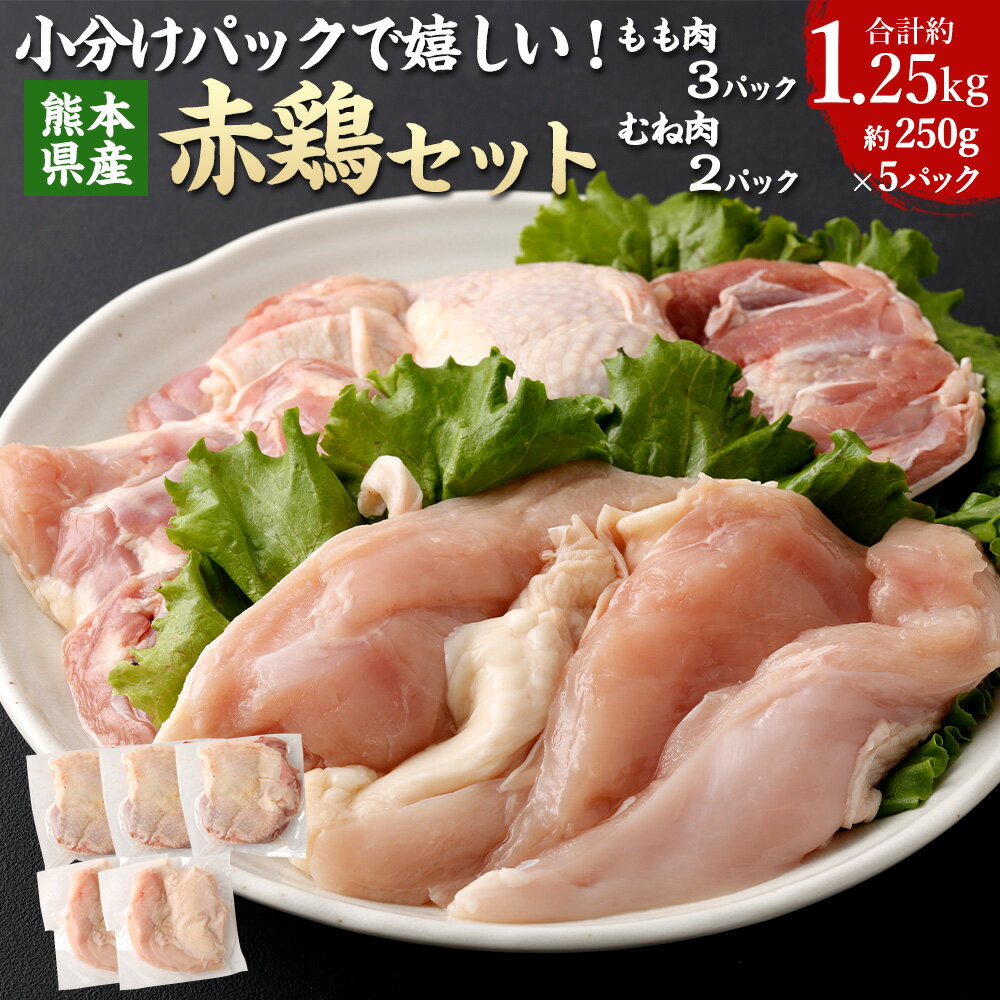 小分けパックで嬉しい! 熊本県産 赤鶏(もも肉3パック・むね肉2パック) 250g×5パック 計1.25kg 肉 お肉 鶏肉 もも肉 むね肉 肥後赤鶏 ステーキ 唐揚げ お鍋 サラダチキン チキン南蛮 料理 小分け 冷凍 九州 熊本県 送料無料