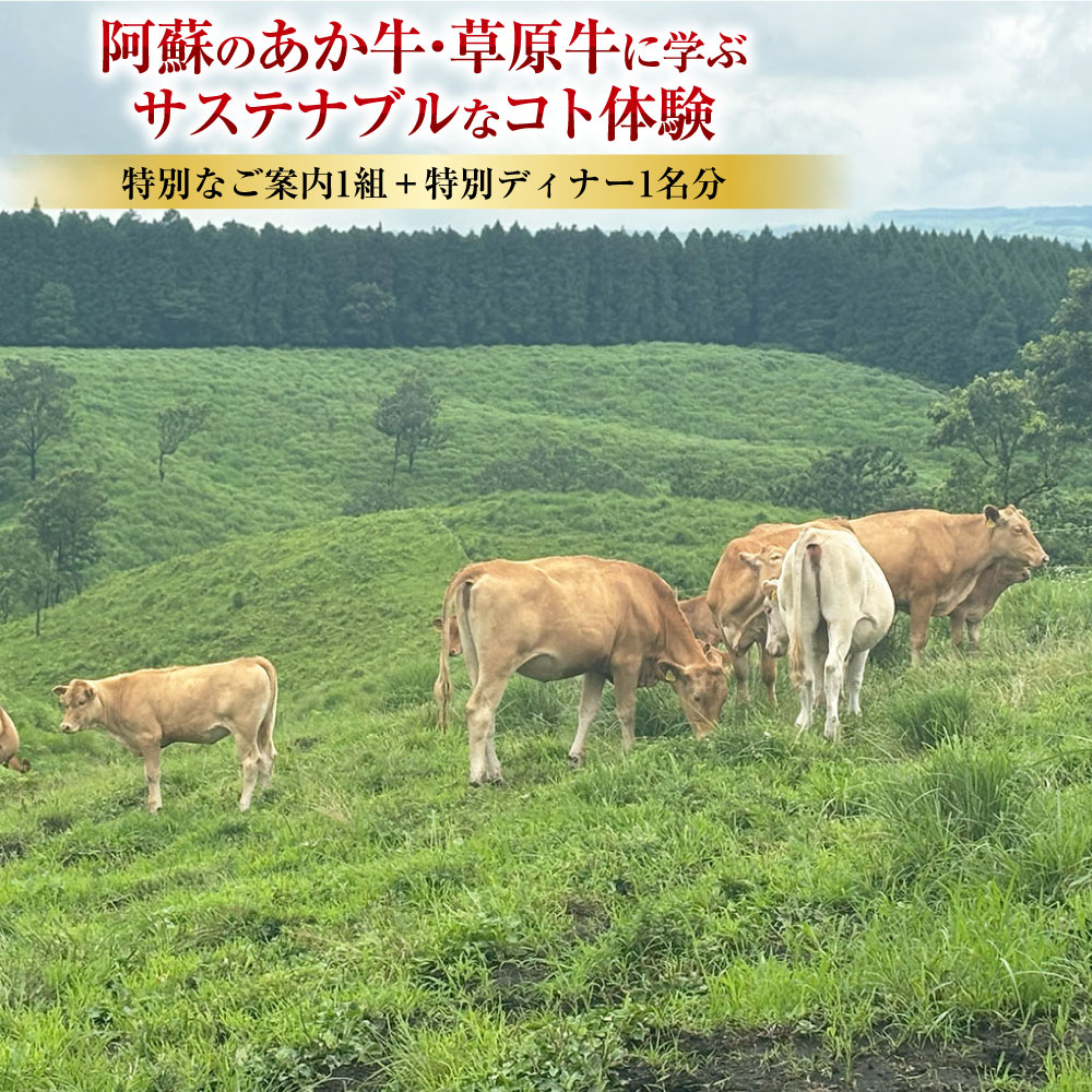 【ふるさと納税】～食べることは生きること～ 熊本阿蘇地域の未来につながる、阿蘇のあか牛・草原牛に学ぶサステナブルなコト体験 特別なご案内1組 ＋ 特別ディナー1名分 体験 チケット お食事券 九州 熊本県 送料無料