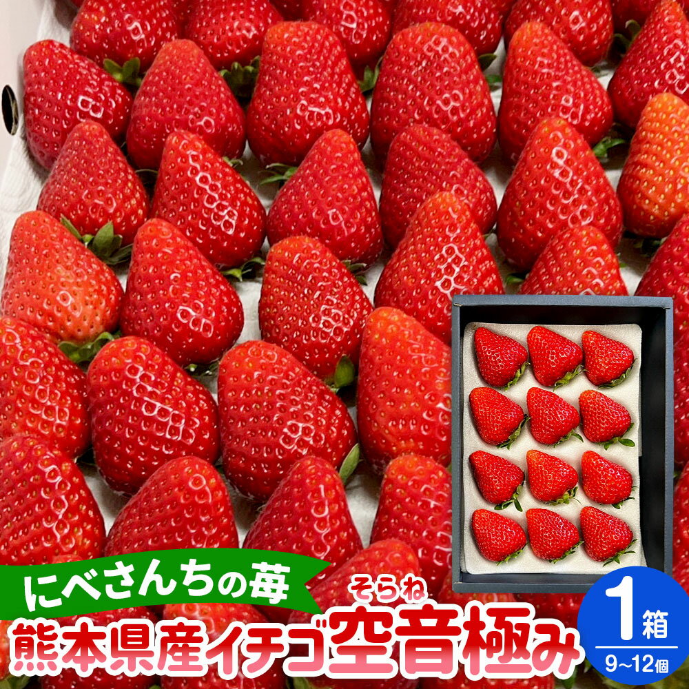 熊本で高級いちごの栽培を手掛ける「にべさんちの苺」 そんなにべさんちで栽培された「空音」のいちごセットです。 いちご好きな方や自分へのご褒美という方、そしてお世話になっている方への贈り物になどぜひ一度にべさんちの苺をご賞味ください。 【空音（そらね）】 ふっくらと大きな苺でずっしりと重みがあり、ピカピカ光っています。甘みと酸味が絶妙なバランスで濃厚な味と香りが絶品です。カットすれば中まで真っ赤で綺麗です。 まだ全国でも珍しい苺です。 商品詳細 名称 【2025年1月下旬発送開始】にべさんちの苺 熊本県産イチゴ空音（そらね）極み 産地 熊本県産 内容量 1箱（9～12個） 賞味期限 到着後4日程度 保存方法 冷蔵庫（野菜室）で保存し、お早めにお召し上がりください。 備考 ・寄附受付日は2024年12月31日までとなります。 ・長期のご不在時期などが予めお分かりの場合は、お申し込み時に備考欄へご不在の日時等をご入力ください。 ・デリケートな生ものですので、お早めにお召し上がりください。 ・お礼品到着後、冷蔵庫（野菜室）で保存し、お早めにお召し上がりください。 ・青果物のため、天候などにより収穫に影響が出る場合がございます。発送が前後する場合がございますので、ご了承ください。 ・発送前には全ての商品の検品を行いますが、輸送の際揺れや衝撃によりやむを得ず多少の裂果や潰れが出てしまう可能性があります。 【地場産品に該当する理由】 区域内で生産されたもの（告示第5条第1号に該当） ふるさと納税 送料無料 お買い物マラソン 楽天スーパーSALE スーパーセール 買いまわり ポイント消化 ふるさと納税おすすめ 楽天 楽天ふるさと納税 おすすめ返礼品 ・ふるさと納税よくある質問はこちら ・寄付申込みのキャンセル、返礼品の変更・返品はできません。あらかじめご了承ください。寄附金の使い道について 「ふるさと納税」寄付金は、下記の事業を推進する資金として活用してまいります。 寄付を希望される皆さまの想いでお選びください。 (1)ふるさとくまもとづくり応援分 〈寄附金の使い道一例〉 「教育・文化の振興」 「保健・医療・福祉の充実」 「地域活性化」 「産業振興」 「安全で安心な県民生活の確保」 「環境の保全・再生」 「熊本地震支援」 「令和2年7月豪雨支援」 (2)くまモン応援分 (3)「夢教育」応援分 (4)NPO等支援分 (5)こども図書館応援分 受領申請書及びワンストップ特例申請書について 入金確認後、注文内容確認画面の【注文者情報】に記載の住所にお送りいたします。 発送の時期は、寄付確認後1～2カ月以内を目途に、お礼の特産品とは別にお送りいたします。