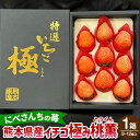 【ふるさと納税】【2024年1月下旬発送開始】にべさんちの苺 熊本県産 イチゴ 極み 桃薫(とうくん) 1箱(9～12個) 苺 いちご 果物 果実 フルーツ くだもの 冷蔵 九州 熊本県 送料無料