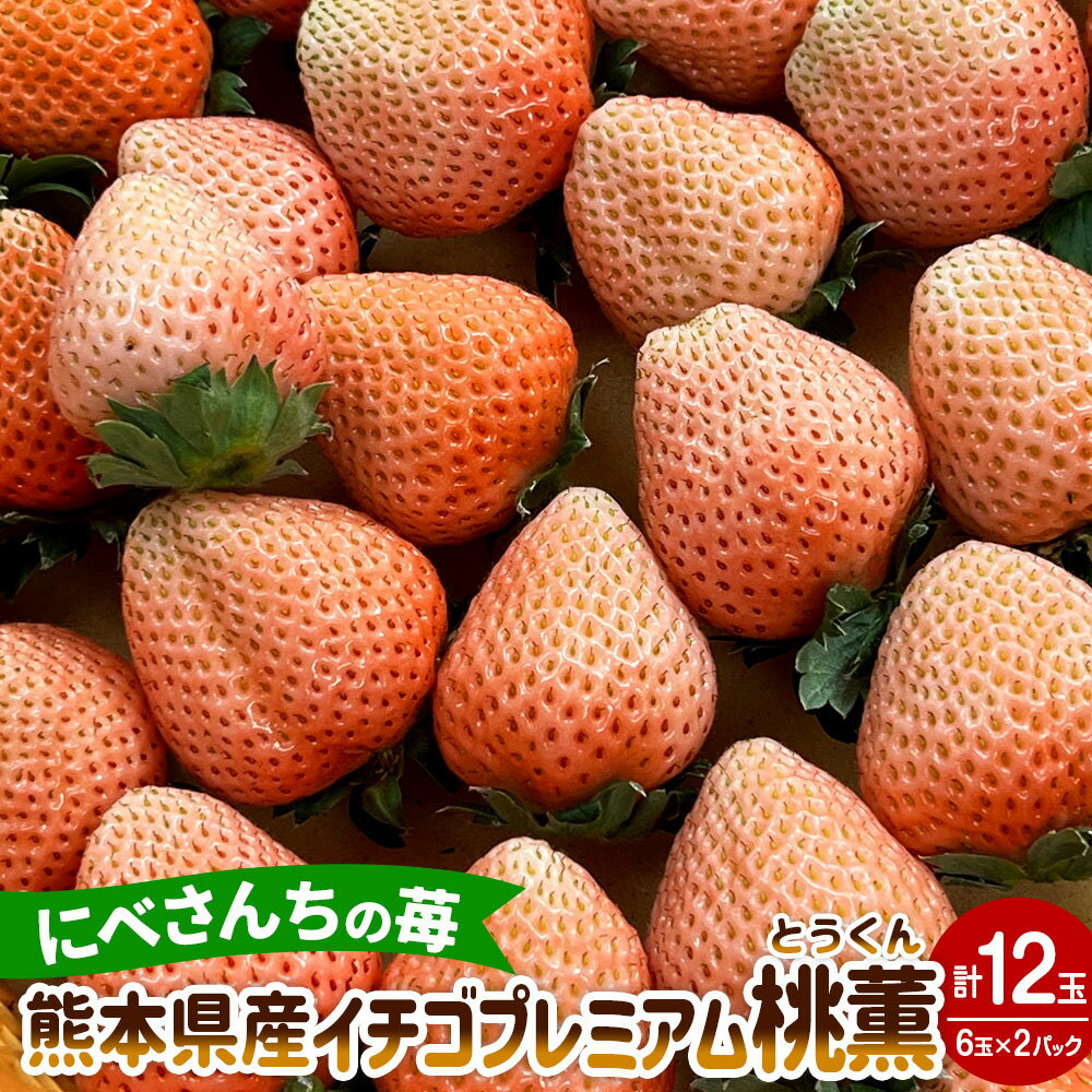 にべさんちの苺 熊本県産 イチゴ プレミアム 桃薫(とうくん) 計12玉 6玉×2パック いちご 苺 果物 くだもの 果実 フルーツ 冷蔵 九州 熊本県 送料無料 [2025年2月上旬発送開始]