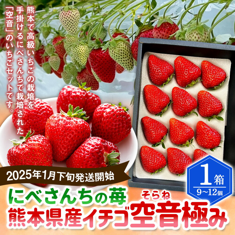 【ふるさと納税】にべさんちの苺 熊本県産 イチゴ 空音(そらね) 極み 1箱 9～12個 いちご 苺 フルーツ 果物 果実 くだもの 冷蔵 九州 熊本県 送料無料 【2025年1月下旬発送開始】