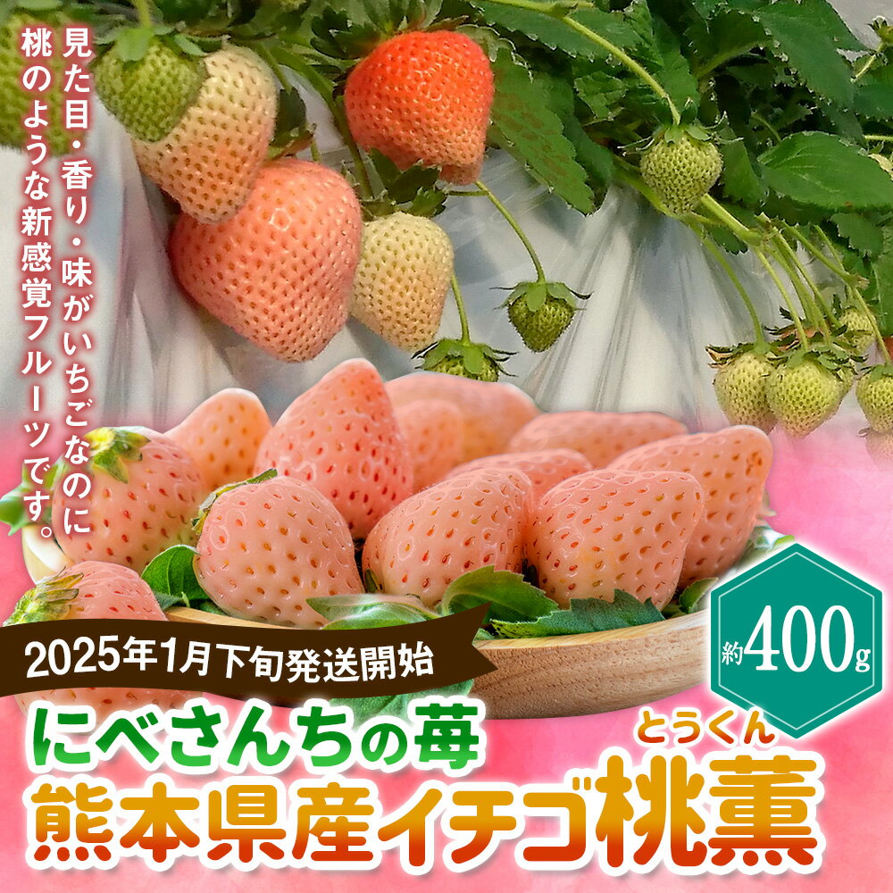 【ふるさと納税】にべさんちの苺 熊本県産 イチゴ 桃薫(とうくん) 約400g 約200g(6～9玉)×2パック いちご 苺 果物 果実 フルーツ くだもの ギフト 贈り物 冷蔵 九州 熊本県 送料無料 【2025年1月下旬発送開始】