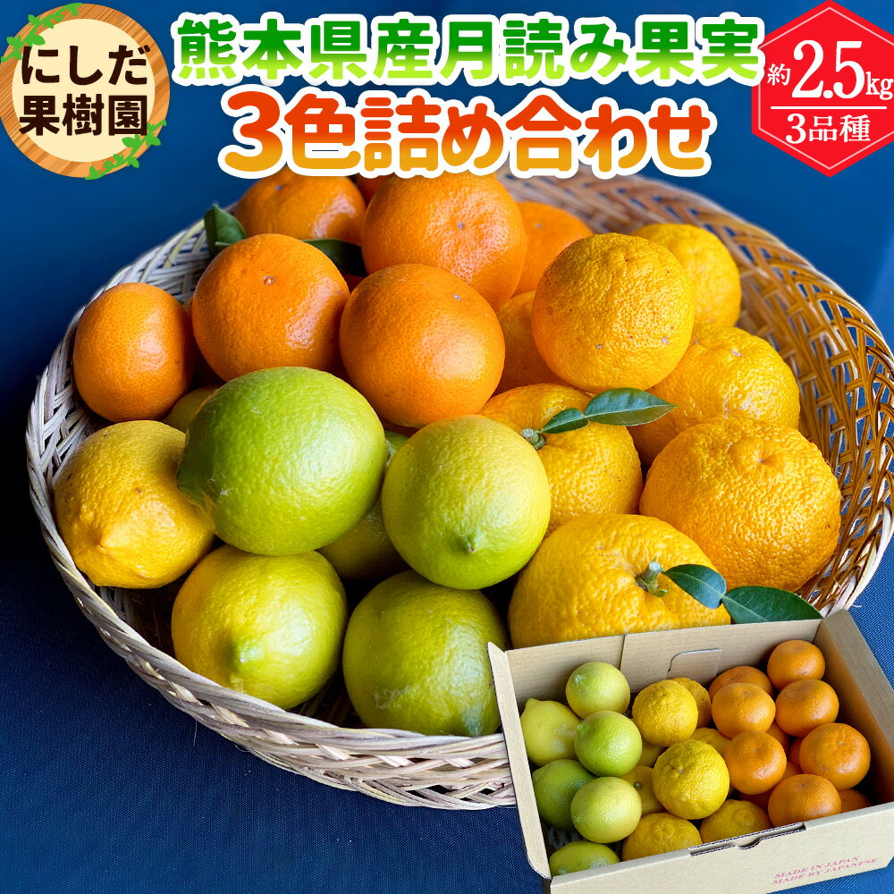 にしだ果樹園の熊本県産 月読み果実 3色 詰め合わせ 3品種 約2.5kg 詰合せ 3種 セット みかん 柑橘 密柑 レモン 柚子 フルーツ 果物 くだもの 化粧箱 常温 にしだ果樹園 九州 熊本県 送料無料 【2024年11月上旬発送開始】