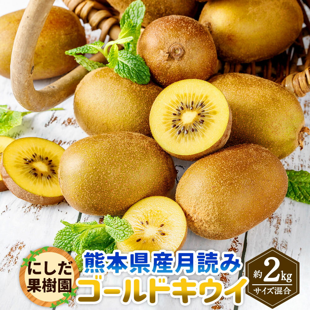 4位! 口コミ数「0件」評価「0」にしだ果樹園の熊本県産 月読み ゴールドキウイ サイズ混合 約2kg にしだ果樹園 キウイ くだもの 果物 フルーツ 果実 キウイフルーツ ･･･ 