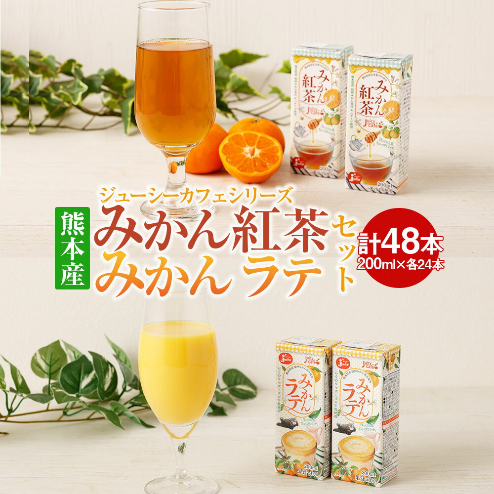 【ふるさと納税】ジューシーカフェシリーズ みかん紅茶 みかん