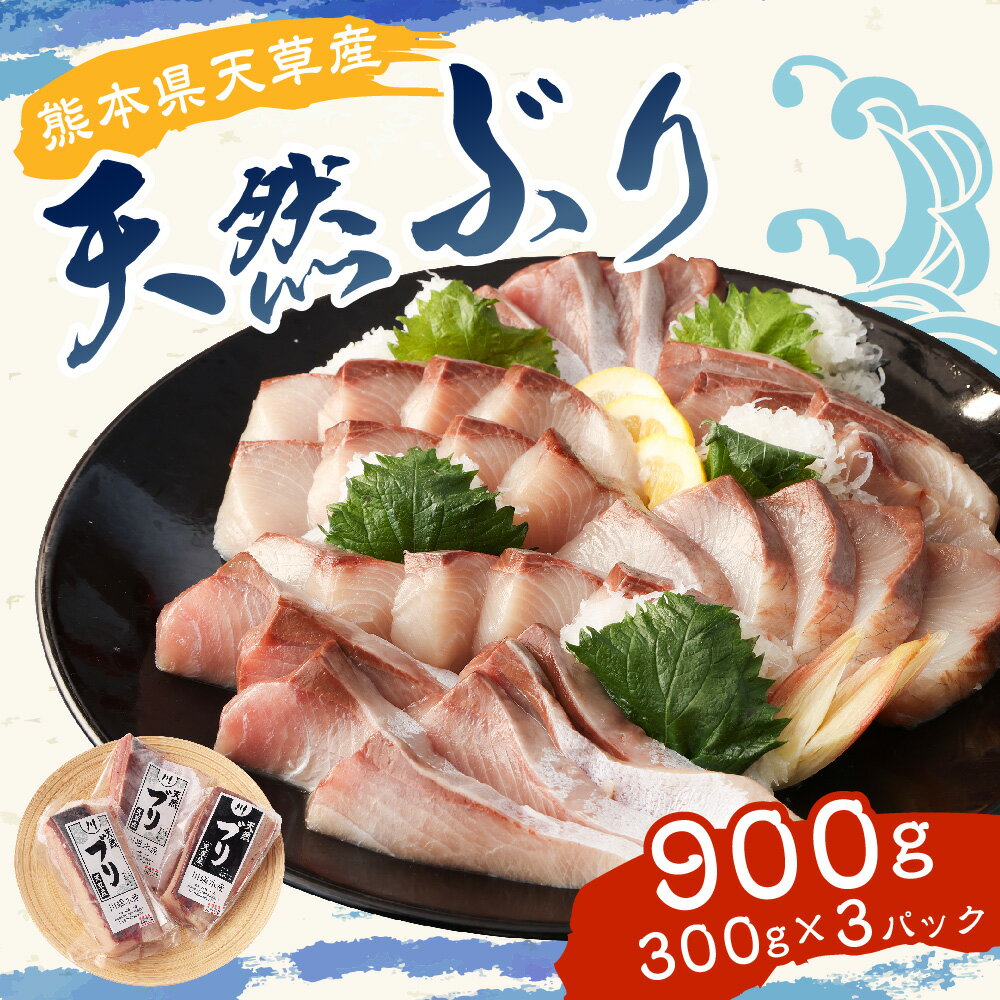 【ふるさと納税】熊本県 天草産 天然ぶり 刺身 （ブロック） 約900g 300g×3パック ブリ 鰤 魚 寿司 お刺身 さしみ しゃぶしゃぶ ぶりしゃぶ 海鮮 さかな サカナ 魚介類 魚介 冷凍 九州 送料無料