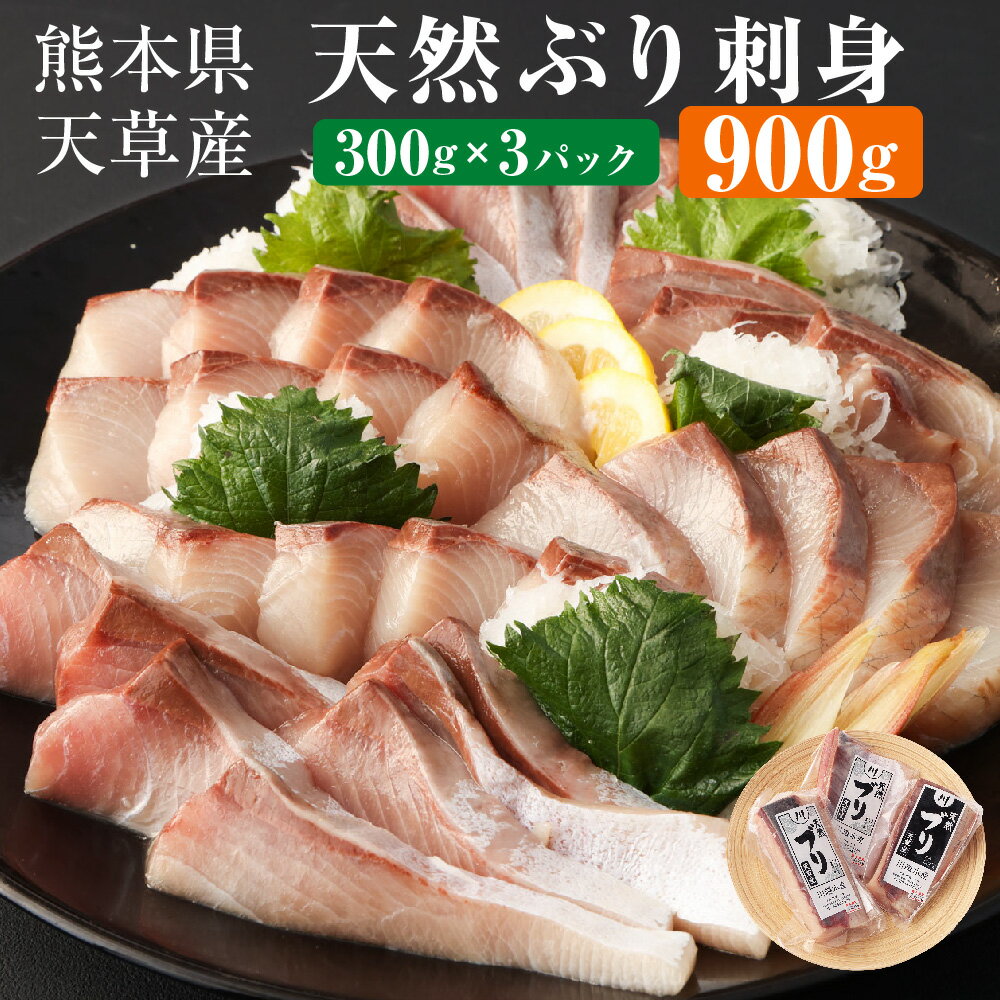 熊本県 天草産 天然ぶり 刺身 （ブロック） 約900g 300g×3パック ブリ 鰤 魚 寿司 お刺身 さしみ しゃぶしゃぶ ぶりしゃぶ 海鮮 さかな サカナ 魚介類 魚介 冷凍 九州 送料無料