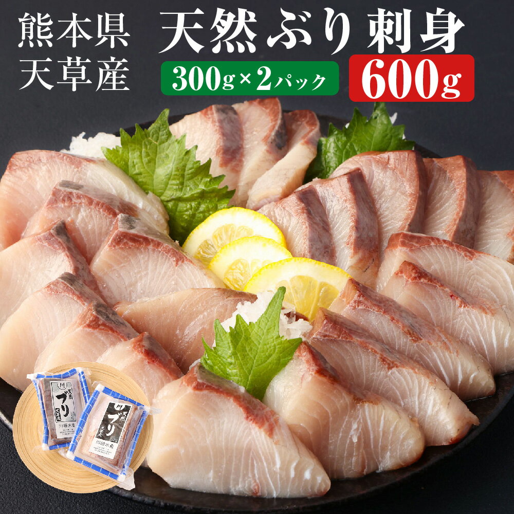 熊本県 天草産 天然ぶり 刺身 (ブロック) 約600g 300g×2パック ブリ 鰤 魚 寿司 お刺身 さしみ しゃぶしゃぶ ぶりしゃぶ 海鮮 さかな サカナ 魚介類 魚介 冷凍 九州 送料無料