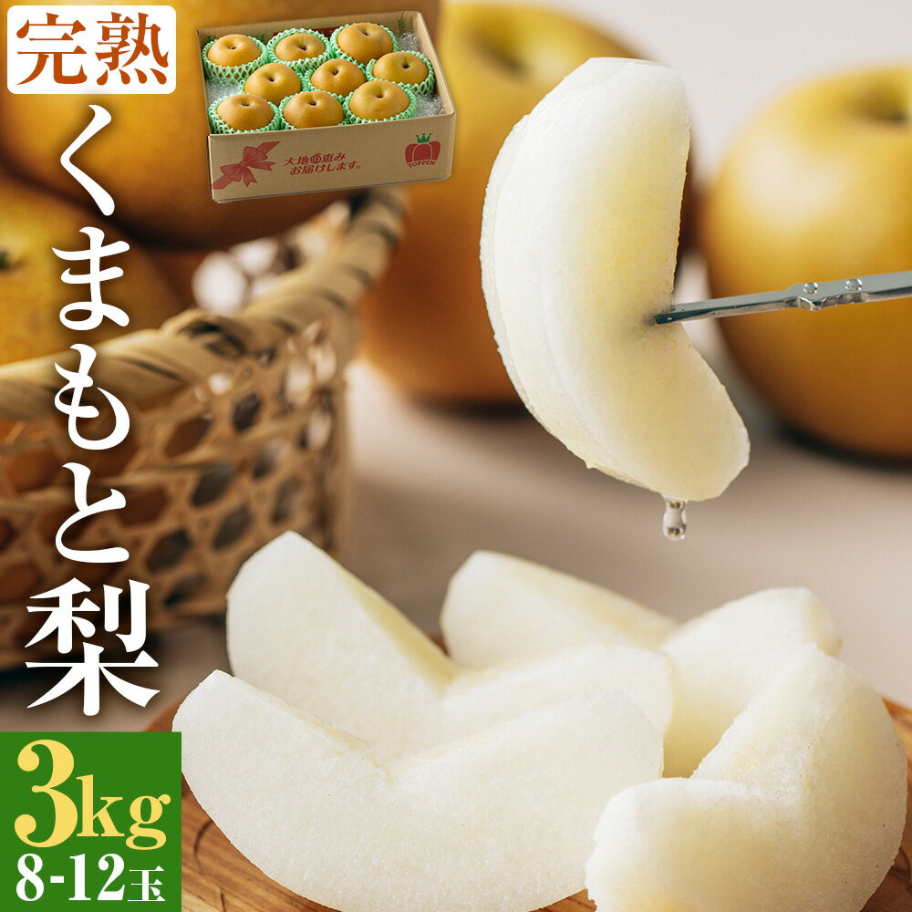 完熟 くまもと梨 3kg 8-12玉(幸水・豊水・秋月の中から旬のものを厳選)なし ナシ 和梨 果物 くだもの 果実 フルーツ 旬 お取り寄せ ギフト 国産 九州 熊本県 冷蔵 送料無料 [2025年8月下旬発送予定]