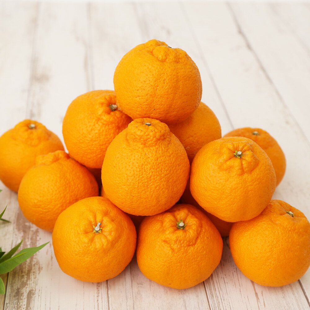 みかん レモン 柑橘類 ふるさと納税の返礼品一覧 19サイト横断 人気順 22年 ふるさと納税ガイド