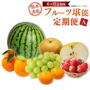 【ふるさと納税】【年6回定期便】熊本県産 フルーツA(奇数月発送) 年6回 定期配送 定期便 デコポン 温州みかん 苺 シャインマスカット 梨 柑橘 フルーツ ...