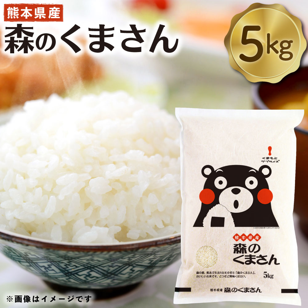 熊本県産森のくまさん 5kg 米 お米 おこめ 白米 精米 ごはん もりのくまさん 国産 熊本県 送料無料