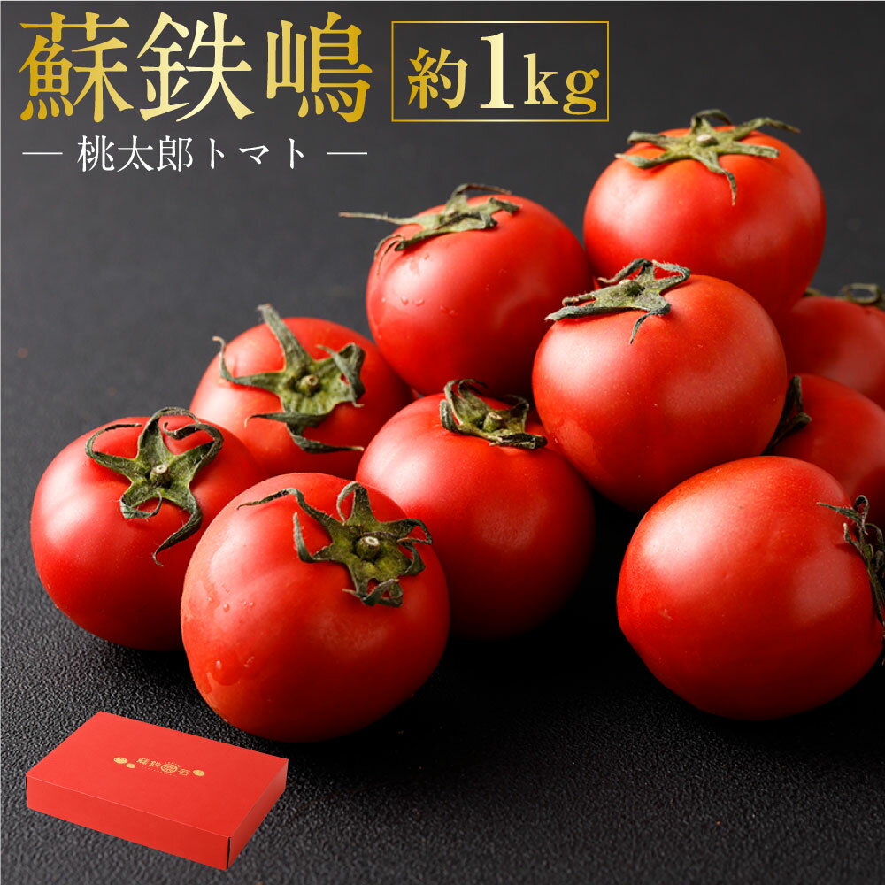 【ふるさと納税】蘇鉄嶋(桃太郎トマト) 約1kg 【2025年5月上旬発送開始】 トマト 潮トマト とまと 野菜 熊本県産 高糖度 九州 熊本県 送料無料