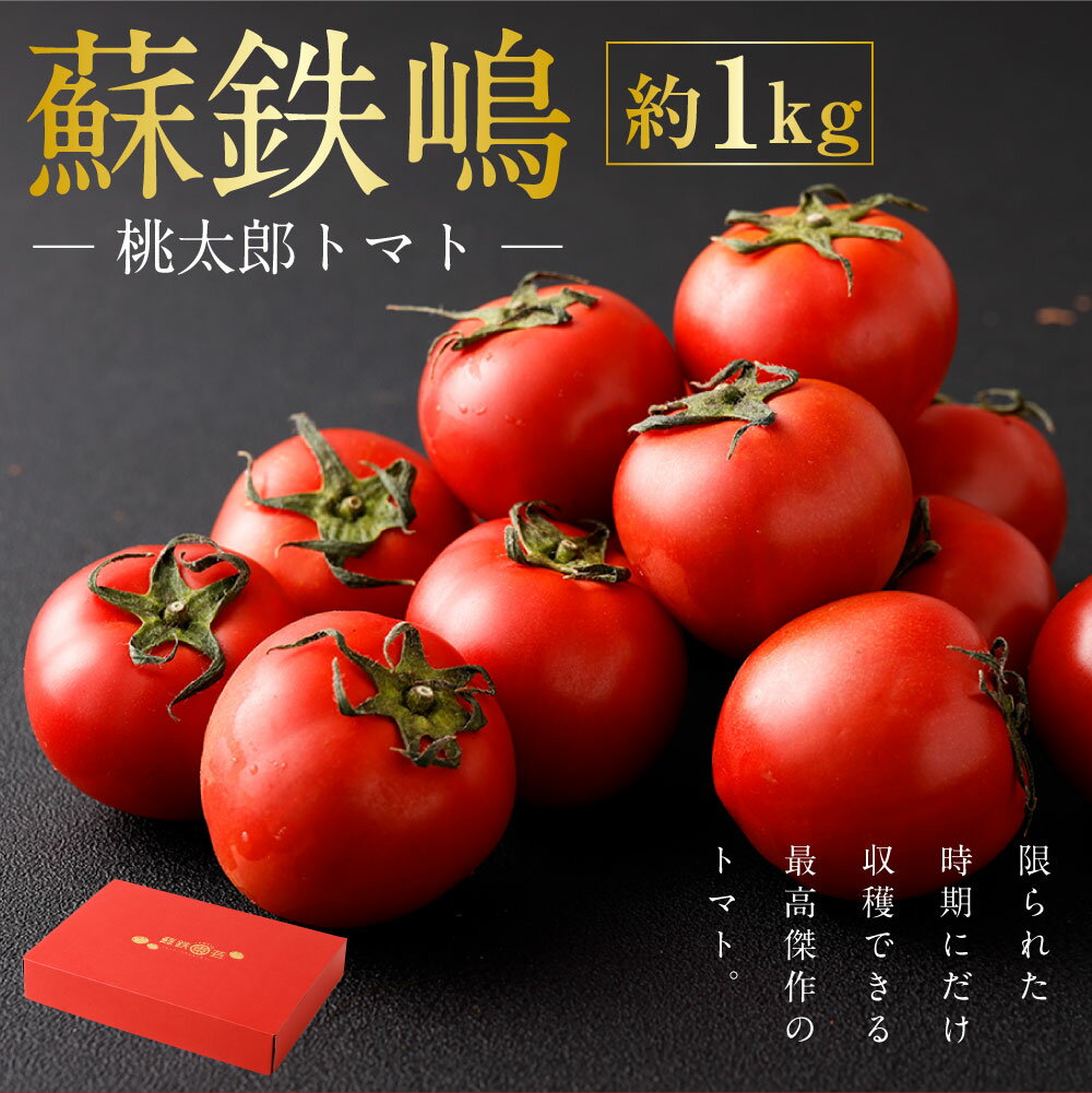 【ふるさと納税】蘇鉄嶋（桃太郎トマト） 約1kg 【2025年5月上旬発送開始】 トマト 潮トマト とまと 野菜 熊本県産 高糖度 九州 熊本県 送料無料