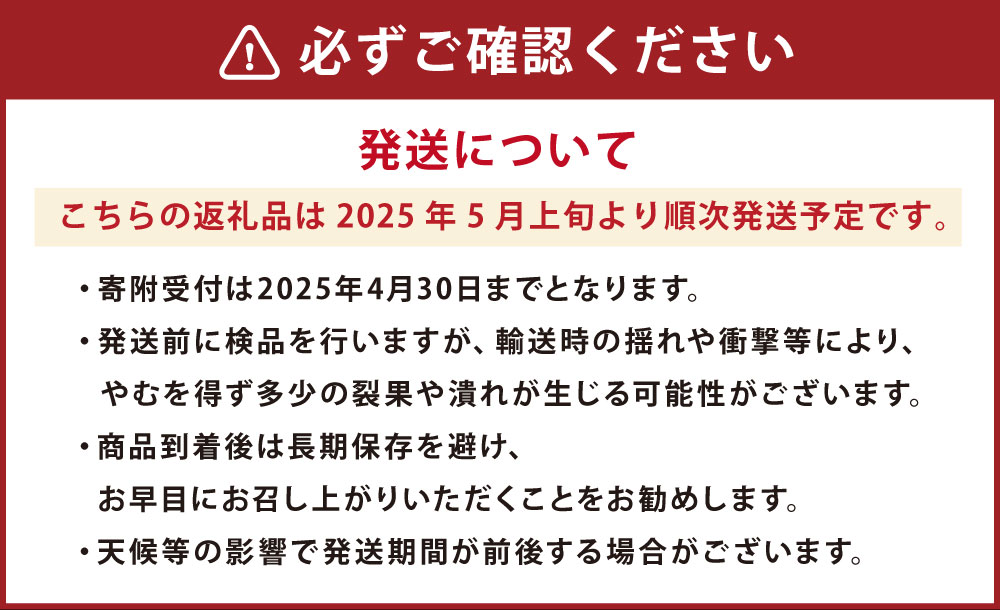 【ふるさと納税】蘇鉄嶋（桃太郎トマト） 約1kg 【2025年5月上旬発送開始】 トマト 潮トマト とまと 野菜 熊本県産 高糖度 九州 熊本県 送料無料