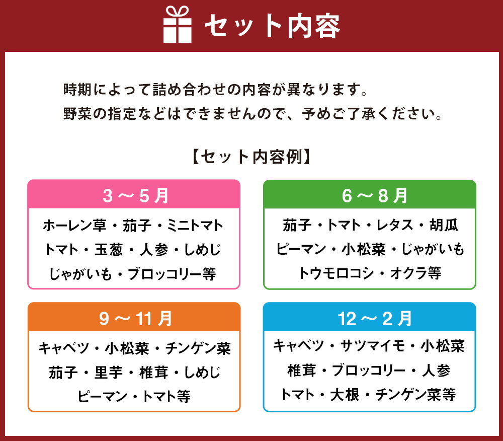 【ふるさと納税】熊本県産 肥後の国野菜の詰め合わせセット 10種類 季節の野菜 旬 春夏秋冬 詰め合せ やさい お取り寄せ 食材 サラダ おまかせ 冷蔵 九州 熊本県 送料無料