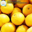 【ふるさと納税】甘夏みかん 約10kg 1個あたり約300~350g 約25個~30個入り 甘夏 あまなつ ミカン 蜜柑 柑橘 フルーツ 果実 国産 熊本県 送料無料 【2026年2月上旬発送開始】