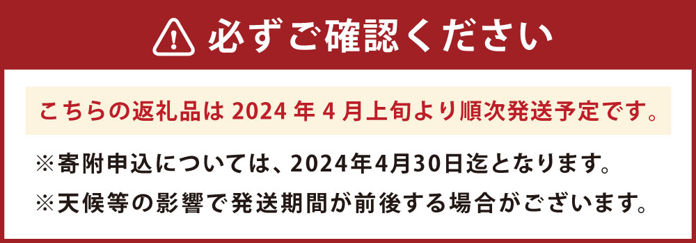 【ふるさと納税】【2024年4月上旬より発送開始】 こだわりサラダ玉ねぎ 8kg 1個あたり約200g～300g 約28個~35個入り サラダ玉ねぎ タマネギ 玉葱 野菜 九州 熊本県 送料無料