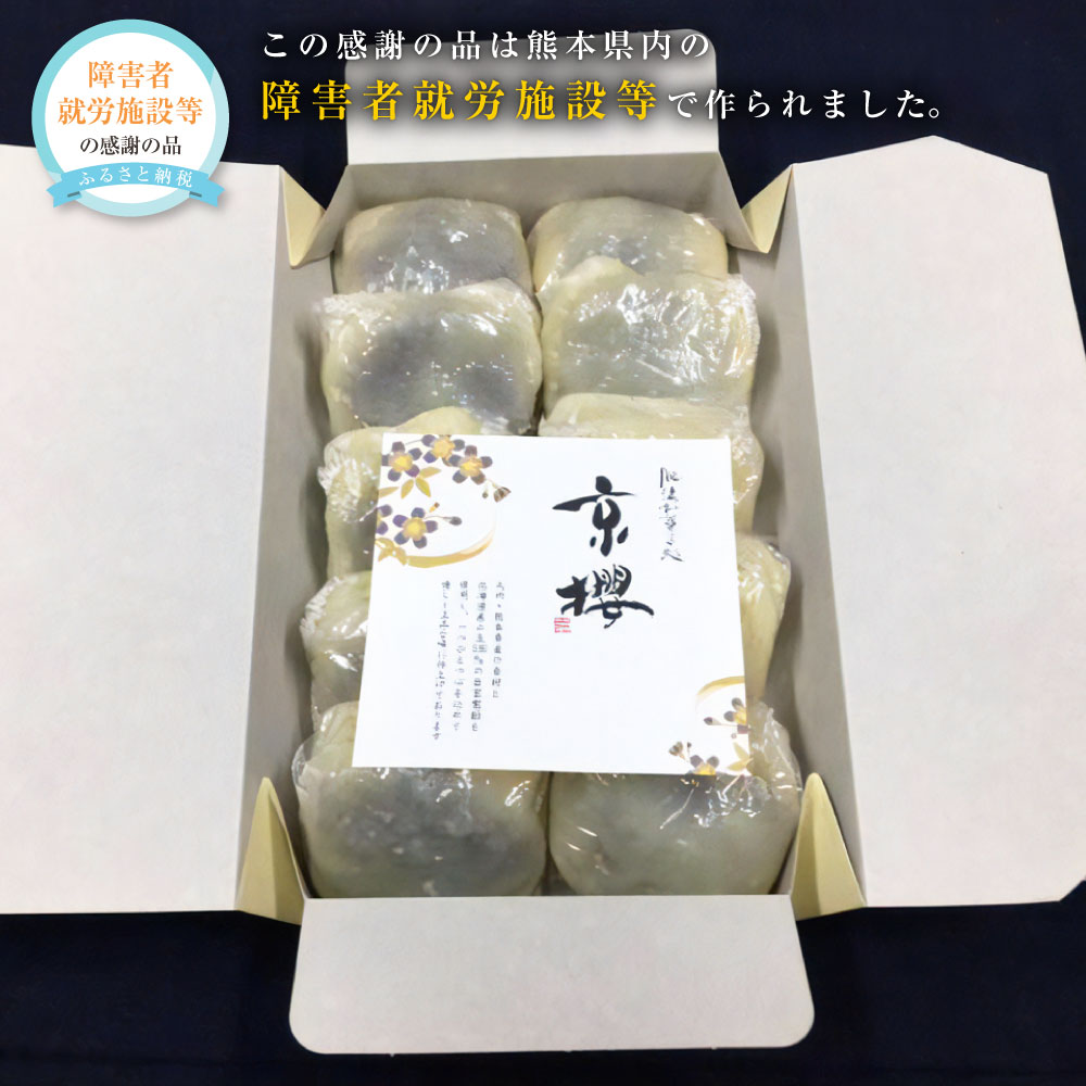 いきなり団子 10個 1個あたり90g~100g いきなりだんご 熊本名物 茶菓子 和菓子 スイーツ お菓子 芋 あんこ さつまいも 郷土菓子 お土産 ギフト お取り寄せ 冷凍 熊本県 送料無料