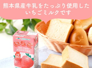 【ふるさと納税】いちごミルク 250ml×24本 1ケース いちごみるく イチゴミルク いちご 苺 イチゴ 乳飲料 乳性飲料 ドリンク 飲み物 飲料 セット 紙パック 常温保存可能 ロングライフ 九州 熊本県 送料無料