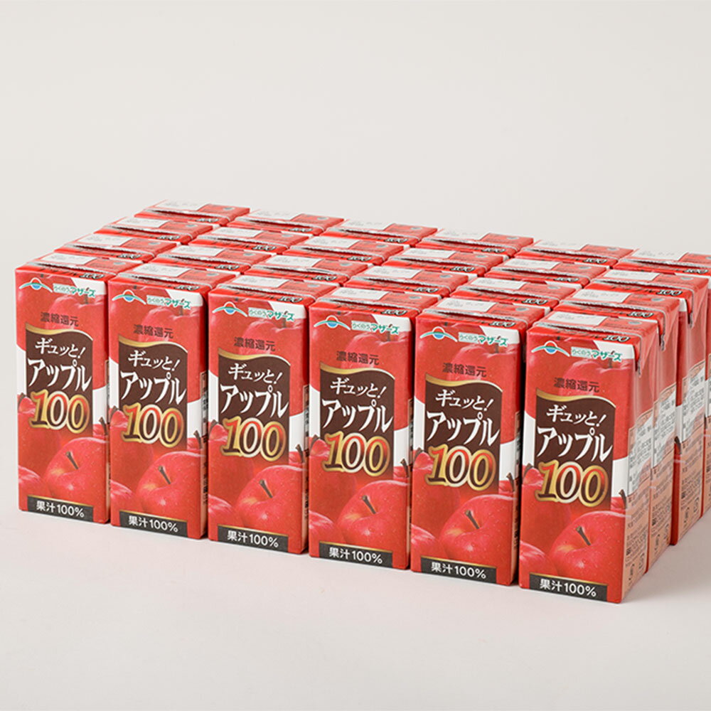 【ふるさと納税】アップル100 200ml 24本 合計4,800ml 4.8L アップルジュース 果汁100％ 林檎 りんご リンゴ ジュース りんごジュース 紙パック 常温 長期保存 九州 熊本県 送料無料