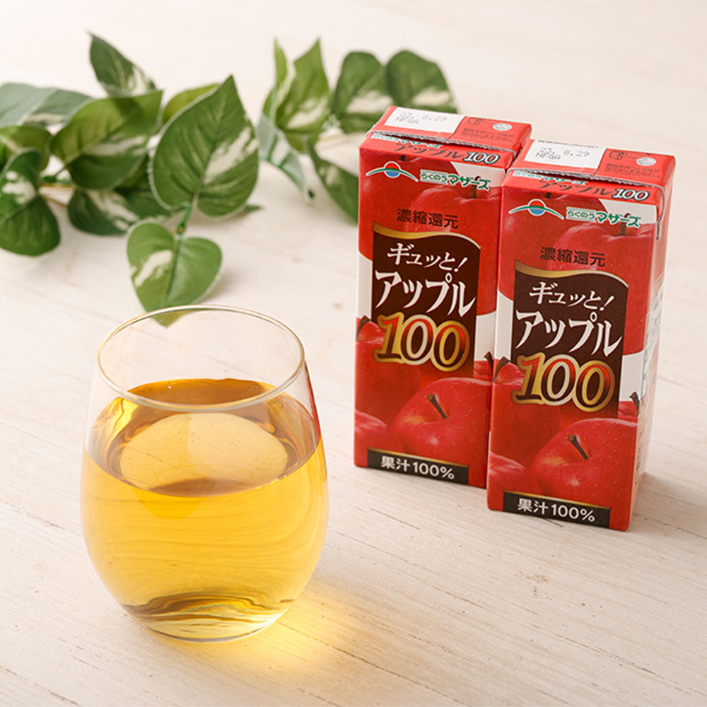 【ふるさと納税】アップル100 200ml 24本 合計4,800ml 4.8L アップルジュース 果汁100％ 林檎 りんご リンゴ ジュース りんごジュース 紙パック 常温 長期保存 九州 熊本県 送料無料