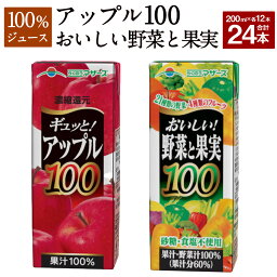 【ふるさと納税】アップル100とおいしい野菜と果実のセット 合計24本 200ml×各12本 合計4,800ml 4.8L 2種 セット アップルジュース 果汁100％ 林檎 りんご リンゴ ジュース 100％ジュース ミックスジュース 柑橘風味 紙パック 常温 長期保存 九州 熊本県 送料無料