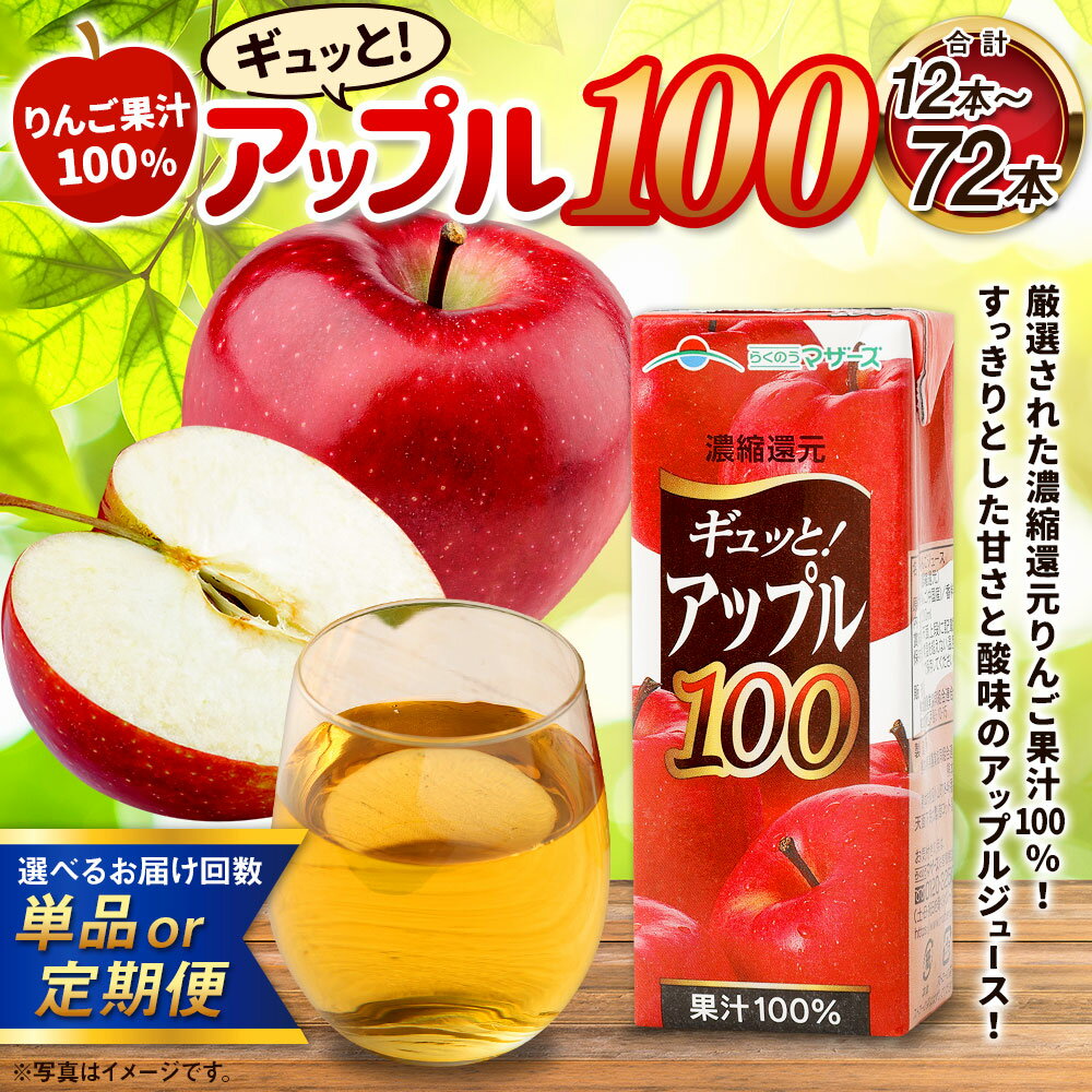 【ふるさと納税】アップル100 200ml×12本 【選べる配送回数 単品 3か月定期便 6か月定期便】 定期便 定期配送 飲物 ジュース りんごジュース アップルジュース らくのうマザーズ 果汁100％ 長期間保存 常温 九州 熊本県 送料無料