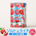 【ふるさと納税】ソルト&ライチ ヨーグルト風味 250ml 24本 果汁果汁入 飲み物 飲料 ライチ果汁 ヨーグルト 塩 九州 熊本県 送料無料 【2025年4月上旬発送予定】
