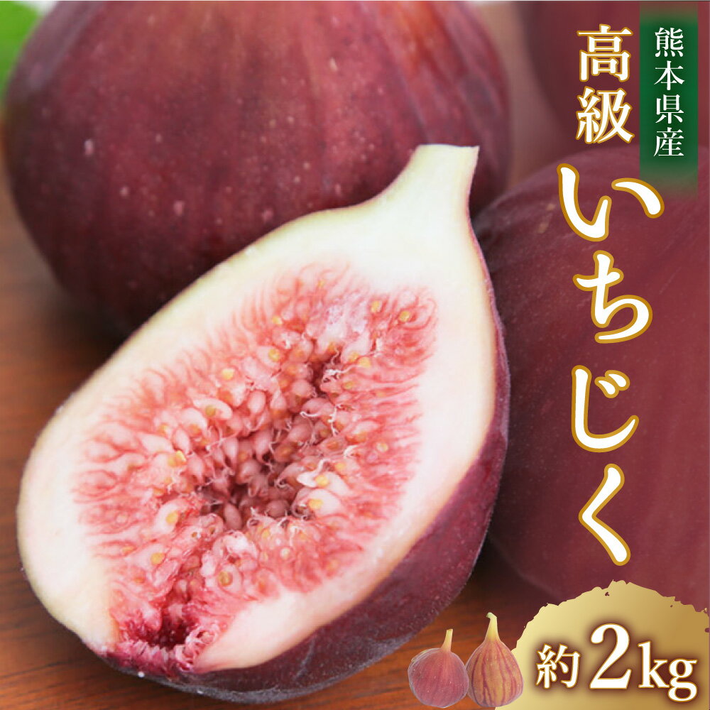 【ふるさと納税】熊本県産 いちじく 約2kg 約250g×8パック いちじく 無花果 果物 フルーツ 旬 冷蔵 九州 熊本県 送料無料 【2024年7月下旬発送開始】