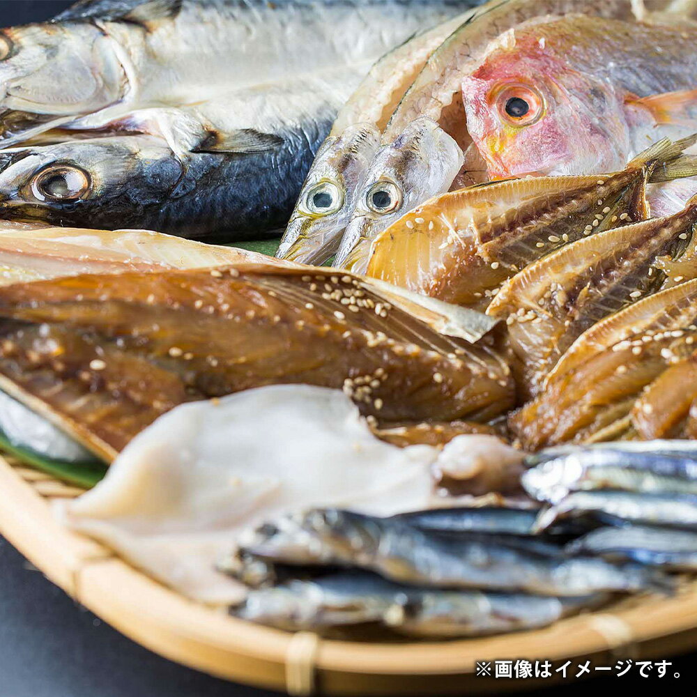 【ふるさと納税】天草・牛深 干物セット 約2.5kg 10品目以上 詰合せ あじ味醂 あじ開き カマス開き等 みりん干し アジ カマス サバ 魚 魚介類 おつまみ 肴 おかず お取り寄せ ギフト 国産 九州 熊本県 天草 牛深 冷凍 送料無料