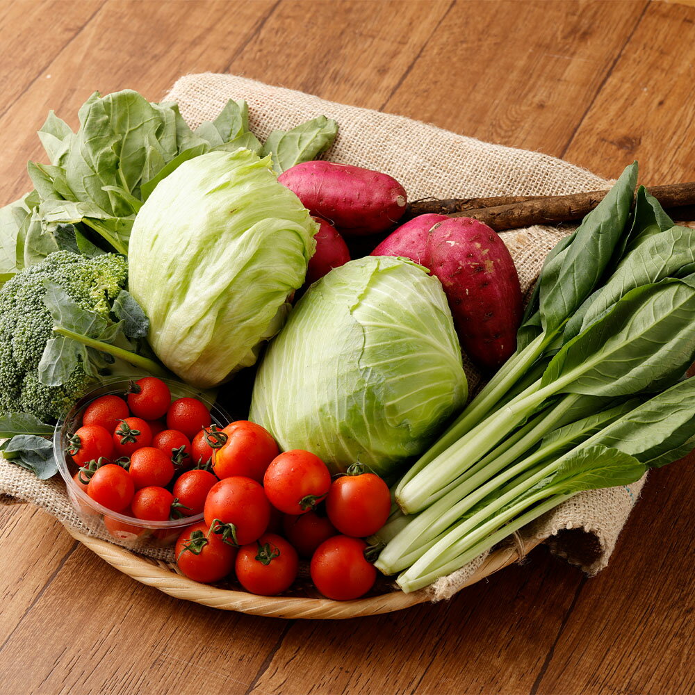 [2025年1月発送開始]くまもと旬の野菜セット 6〜7種類 早生キャベツ ブロッコリー カリフラワー ミニトマト 塩トマト 唐芋(紅はるか) ほうれん草 小松菜 レタス ごぼう 野菜 詰め合わせ セット 新鮮 九州 熊本県 冷蔵 送料無料